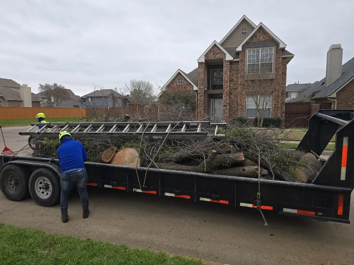 Expert Tree Pest Control with proper safety equipment in Nilwood